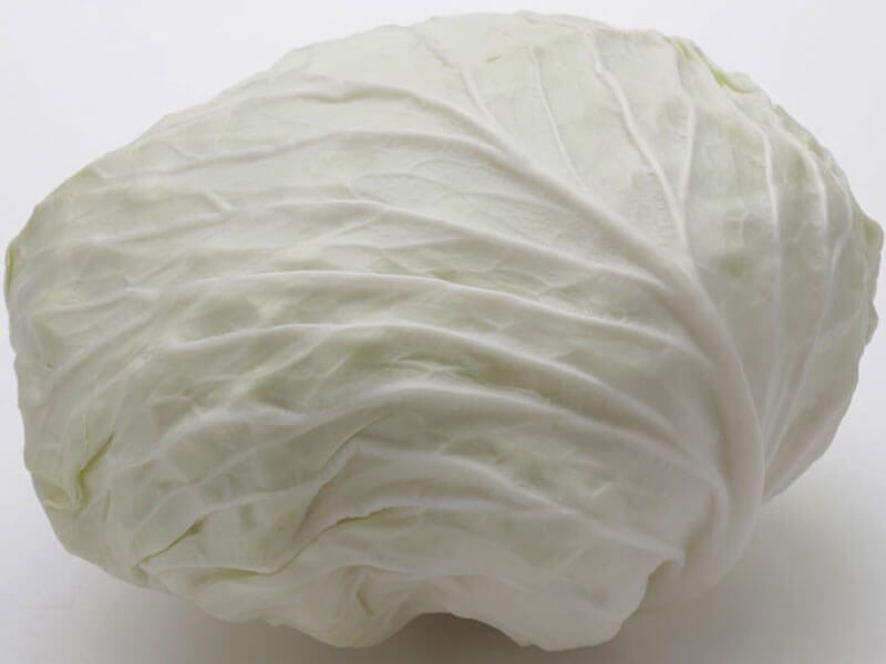 Cabbage